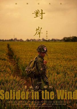 对岸