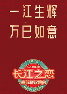 2025湖北卫视春节联欢晚会